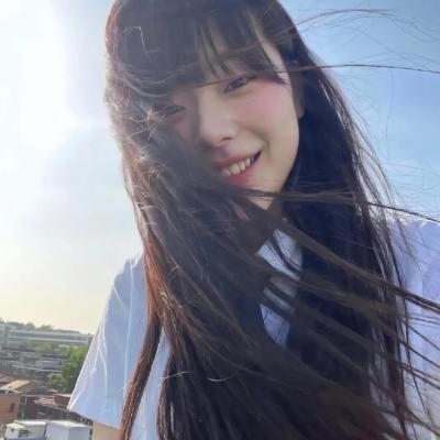 没人瞭波斯猫